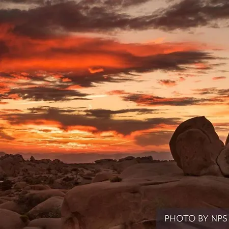 Joshua Treeyucca Valley Sunset Desert Retreat 6425